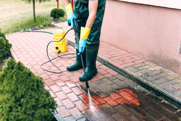 Best Soft Washing  in Lake Mathews, CA